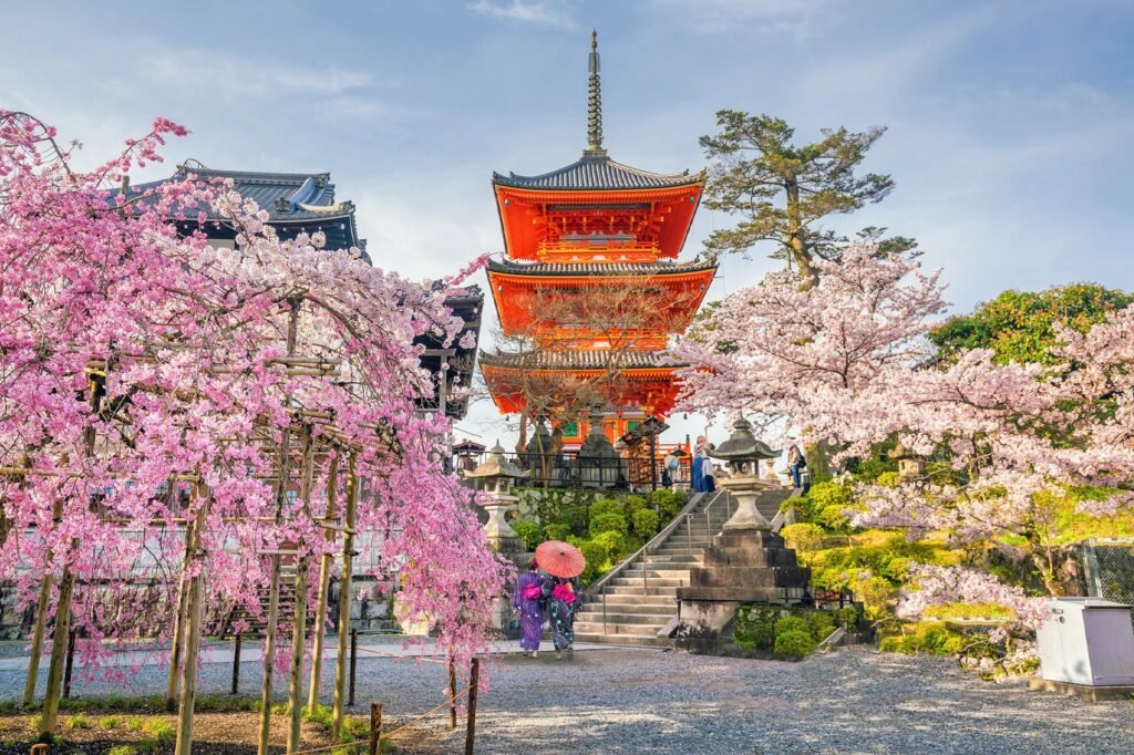 Cherry Blossoms in Kyoto, Japan
